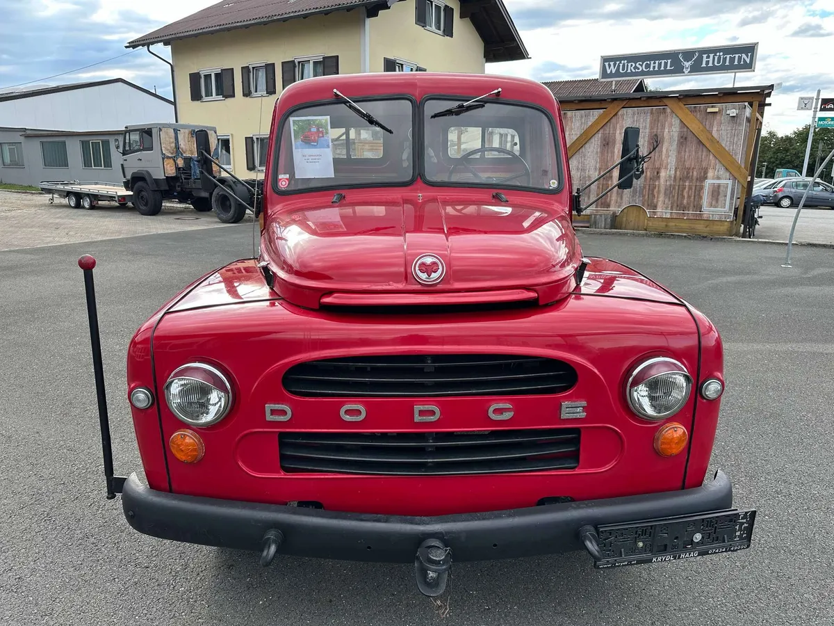 Dodge D.203L – Foto 2 von 8