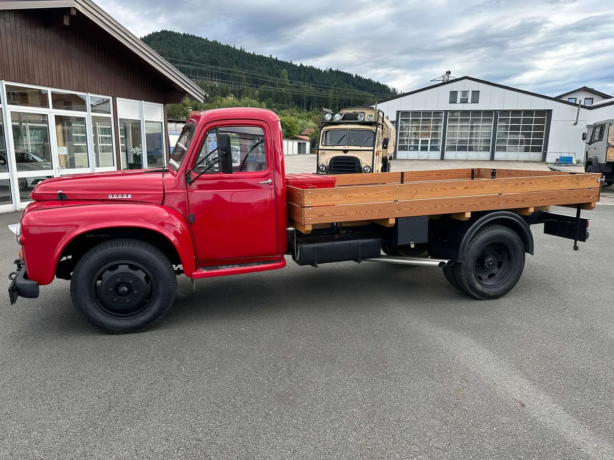 Dodge D.203L – Foto 4 von 8