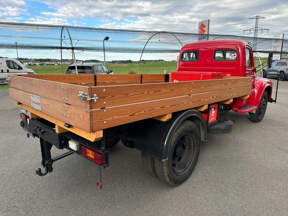 Dodge D.203L – Foto 6 von 8